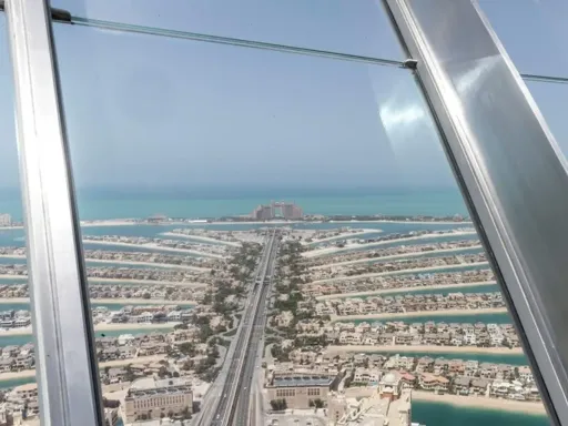 THE VIEW