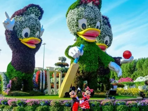 MIRACLE GARDEN