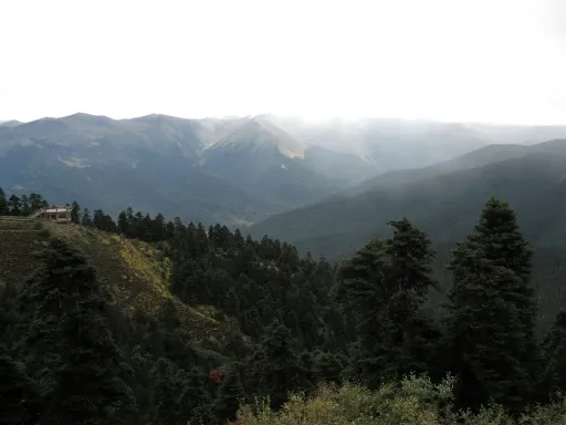 鲁朗临海观景台.jpg.jpg