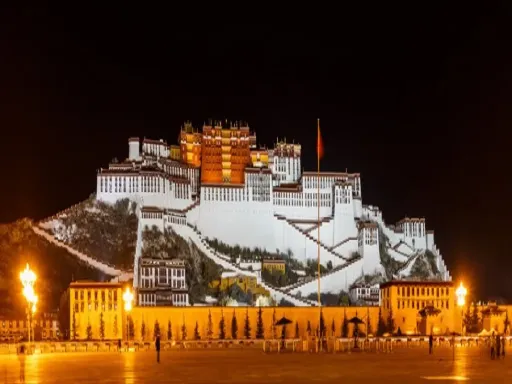 布达拉宫夜景.webp