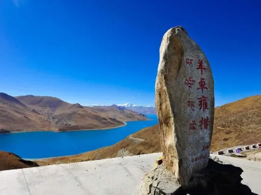 羊卓雍措.webp