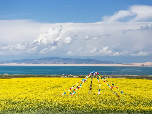 Qinghai Lake青海湖.png