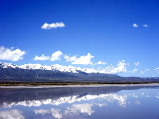 Qinghai Lake青海湖2.png