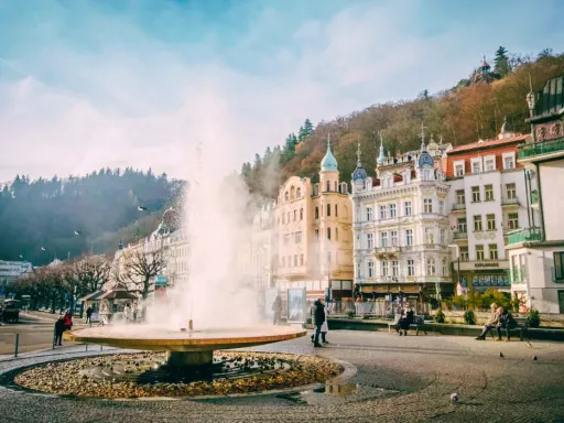 Optinal Karlovy Vary 自费卡罗维发利.webp