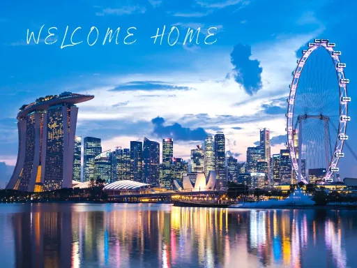 Arrival 抵达.webp