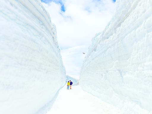  Tateyama Kurobe Alpine Route 立山黑部阿尔卑斯 .png