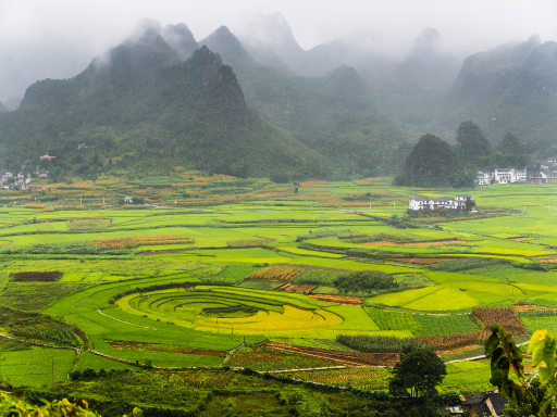 Ba Gua Field 万峰林-八卦田.png
