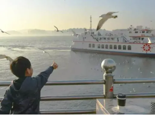 Day 02-01 Wolmido Seagull Cruise （月尾岛游船+喂海鸥）.png