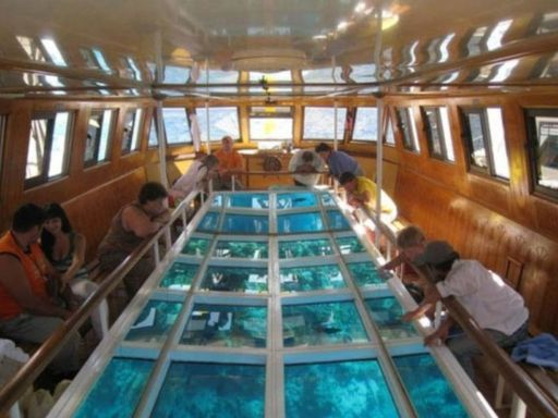 Glass Boat - Hurghada