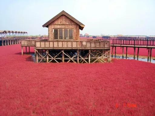 Red Beach红海滩廊桥.png