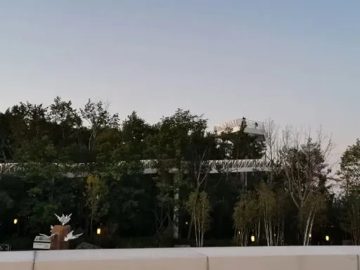 美人松国际雕塑公园.jpeg