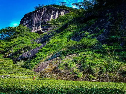 Great Red Robe Scenic Area大红袍景区.jpg