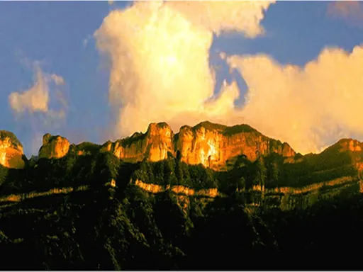 MtJinfo金佛山 .webp