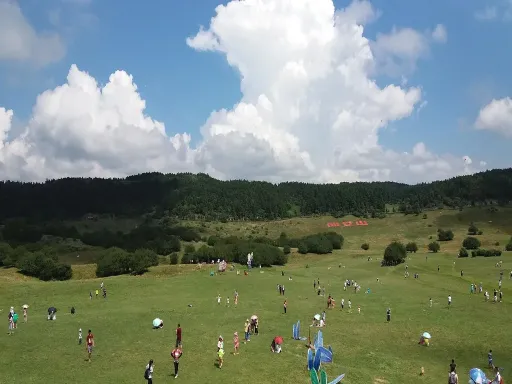  Fairy Mountain's Forest Park 仙女山森林公园.webp