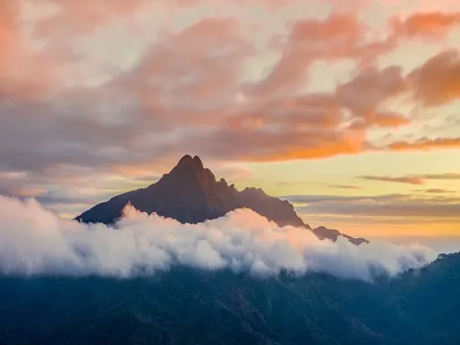 WUZHI MOUNTAIN五指山3.jpg