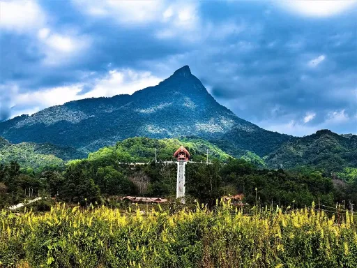 WUZHI MOUNTAIN 五指山2.jpg
