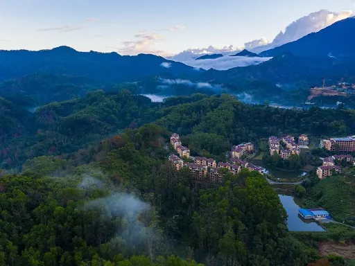 Wuzhishan Tropical Rainforest五指山热带雨林4 (2).jpg