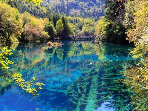 Panda Lakes熊猫海 .webp