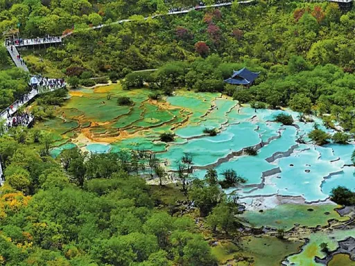 Huanglong黄龙.webp