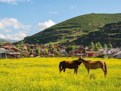 Tibetan village of Chuanzhu Temple川主寺藏寨