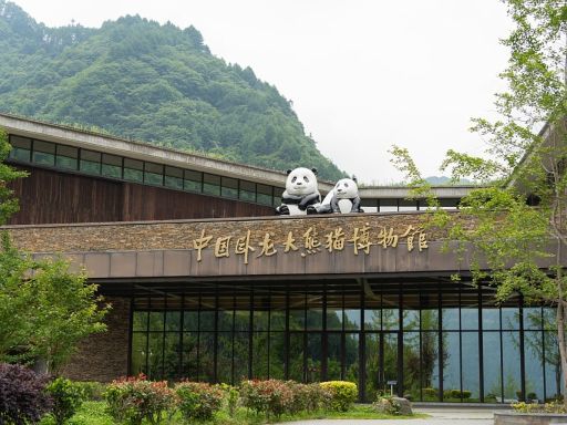 Dujiangyan Panda Park卧龙博物馆 (3)