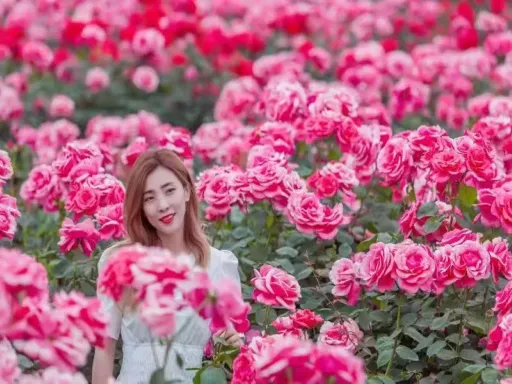 Rose Valley 花溪谷2.jpg