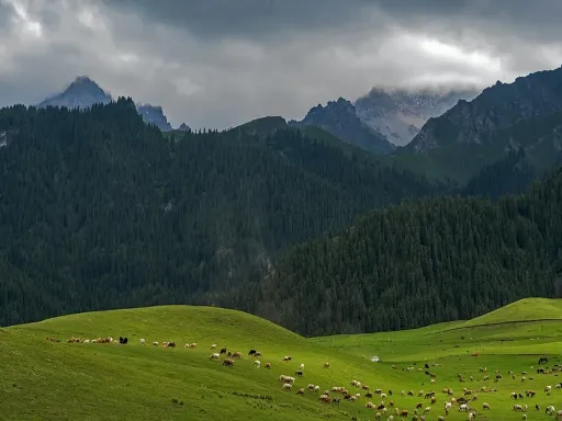 15D13N NORTHERN XINJIANG IN DEPTH TOUR | Group Tours