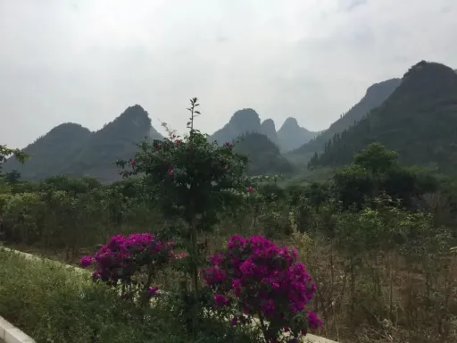 Wanfenglin万峰林风景区.png