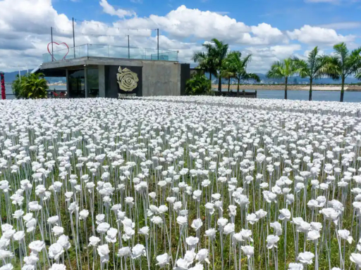 10K Rose Cebu.png