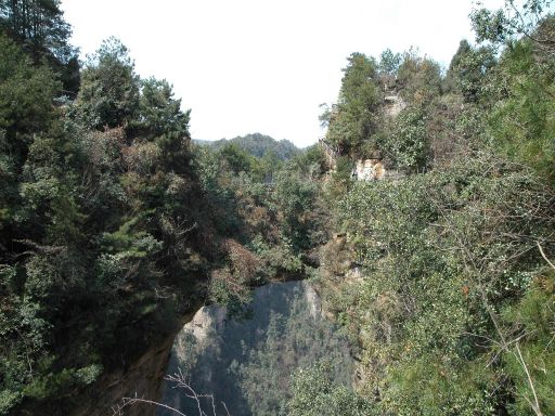 No.1 Bridge of the World天下第一桥