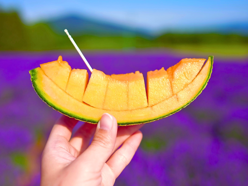 Melon Tasting (End of May-End of Sept) / 哈密瓜品尝 (5月低-9月底)