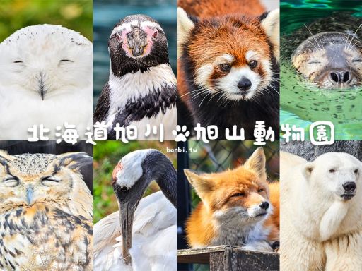 Asahiyama Zoo / 旭山动物园