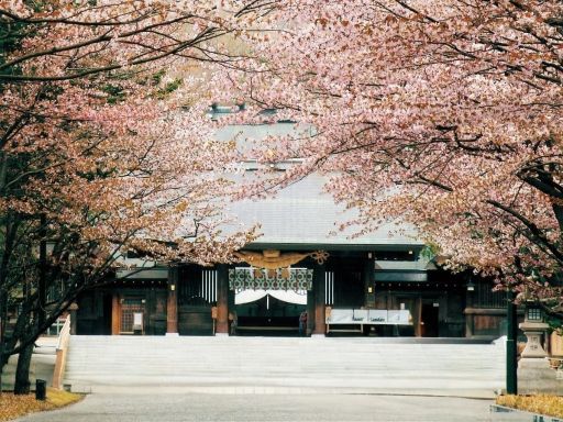 Hokkaido Jingu/北海道神宫