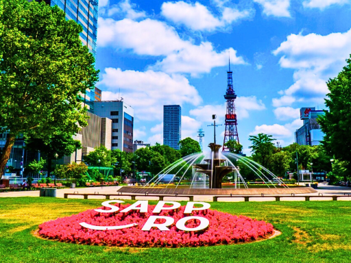 Odori Park / 大通公园