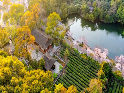 nianhua bay 拈花湾