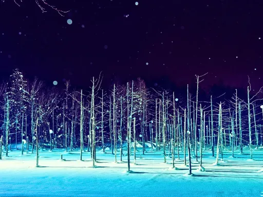 Blue Pond Winter 青之池 .webp
