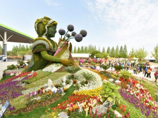 Goyang Flower Festival4