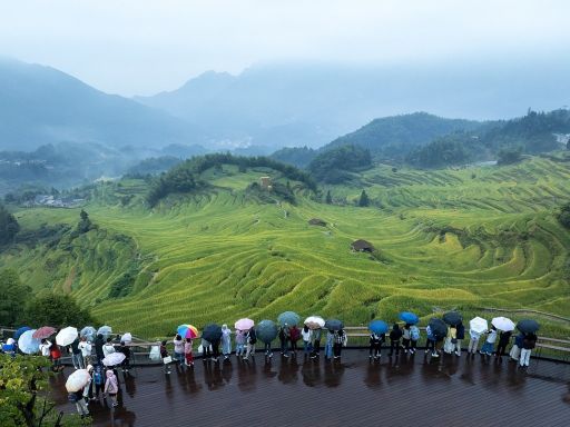 Yunhe Terraced Fields 丽水云和梯田1