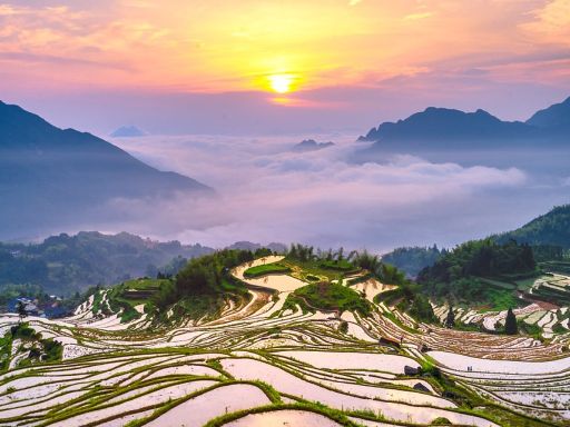 Yunhe Terraced Fields 丽水云和梯田