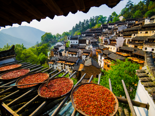 HuangLing Ancient Village 篁岭秋晒1