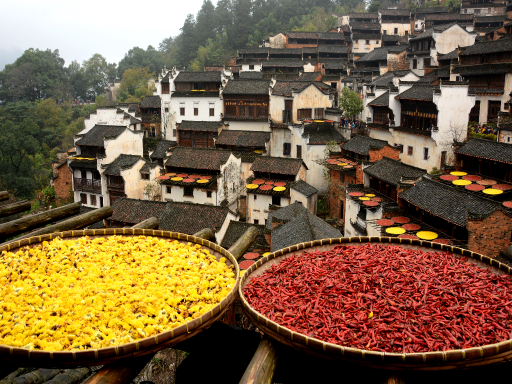 HuangLing Ancient Village 篁岭秋晒