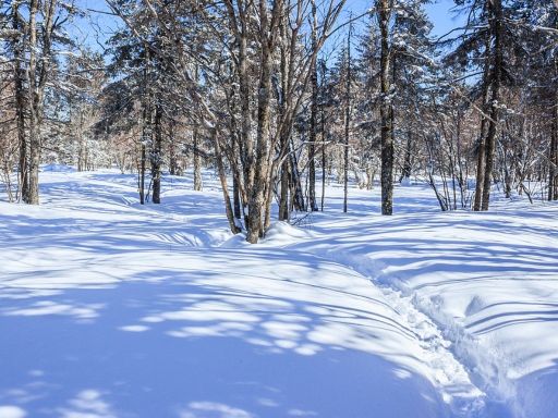 Laolike Lake 老里克湖雪地