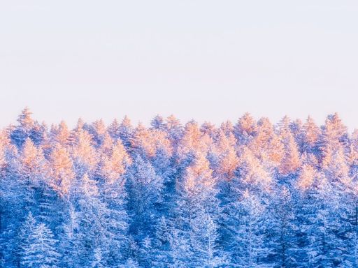 Laolike Lake 老里克湖雪景