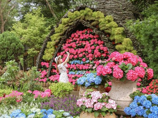 Flower Home