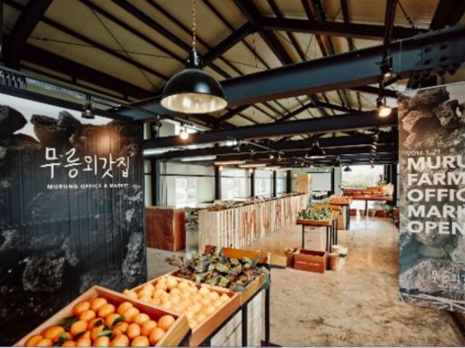 Murung Farm DIY Tangerine Jam