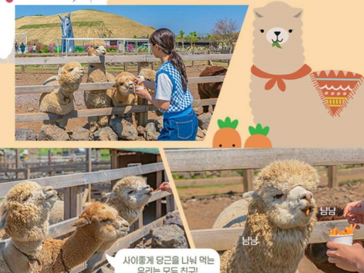 Saebyeol Friends