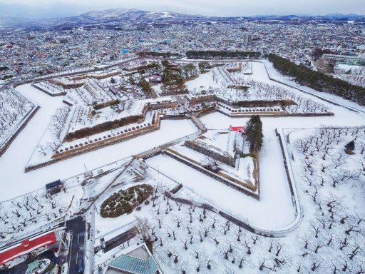 Goryokaku tower in Winter