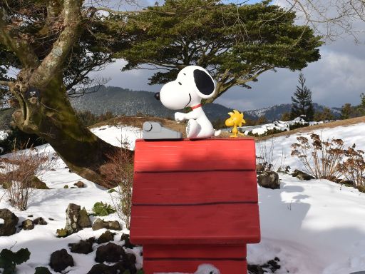 Snoopy Garden 1
