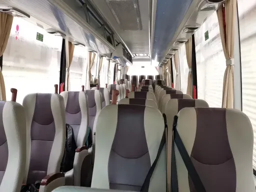 VIP Coach1.png