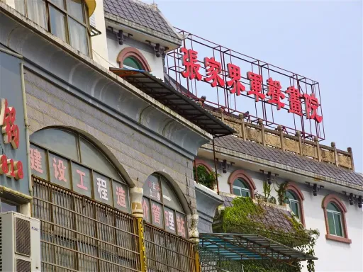 Junsheng Painting Institute军声画院.png